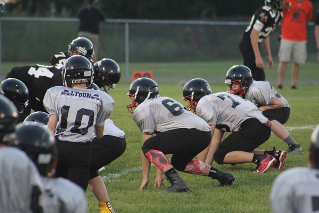 生将有可能 生将有可能