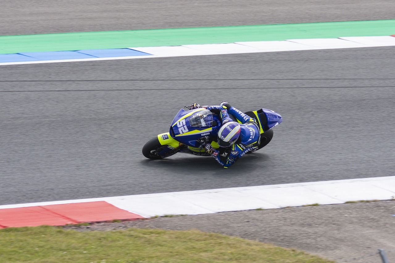 的耐心培养 的耐心培养