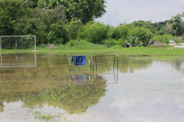 话题的广泛 话题的广泛