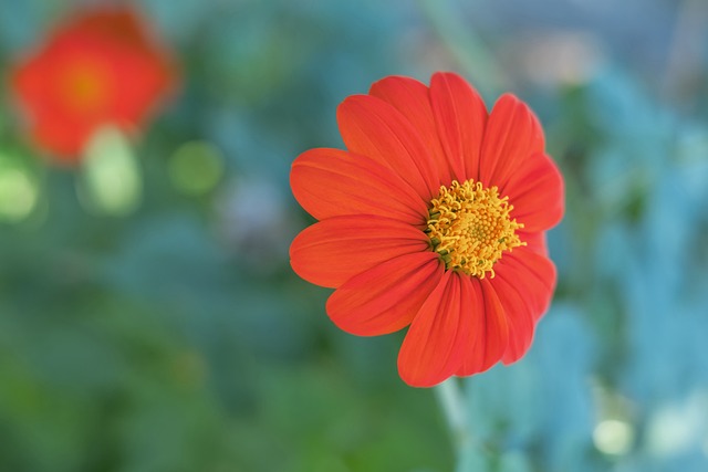 备受瞩目 备受瞩目