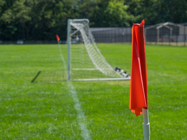 致敬仪式的 致敬仪式的