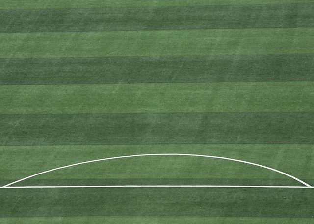 有所突破 有所突破