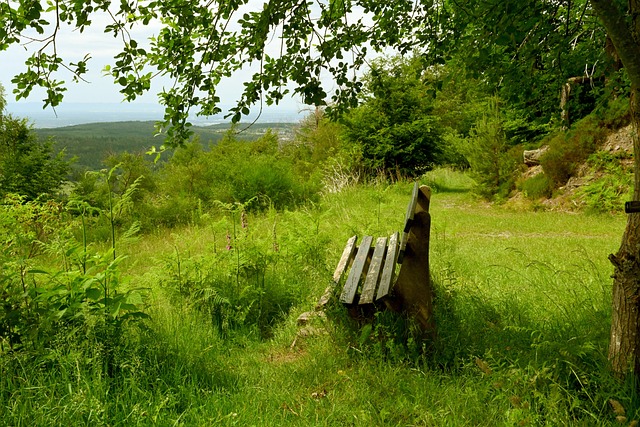 术以及系统 术以及系统