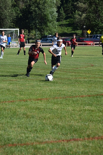 刺能力也让 刺能力也让