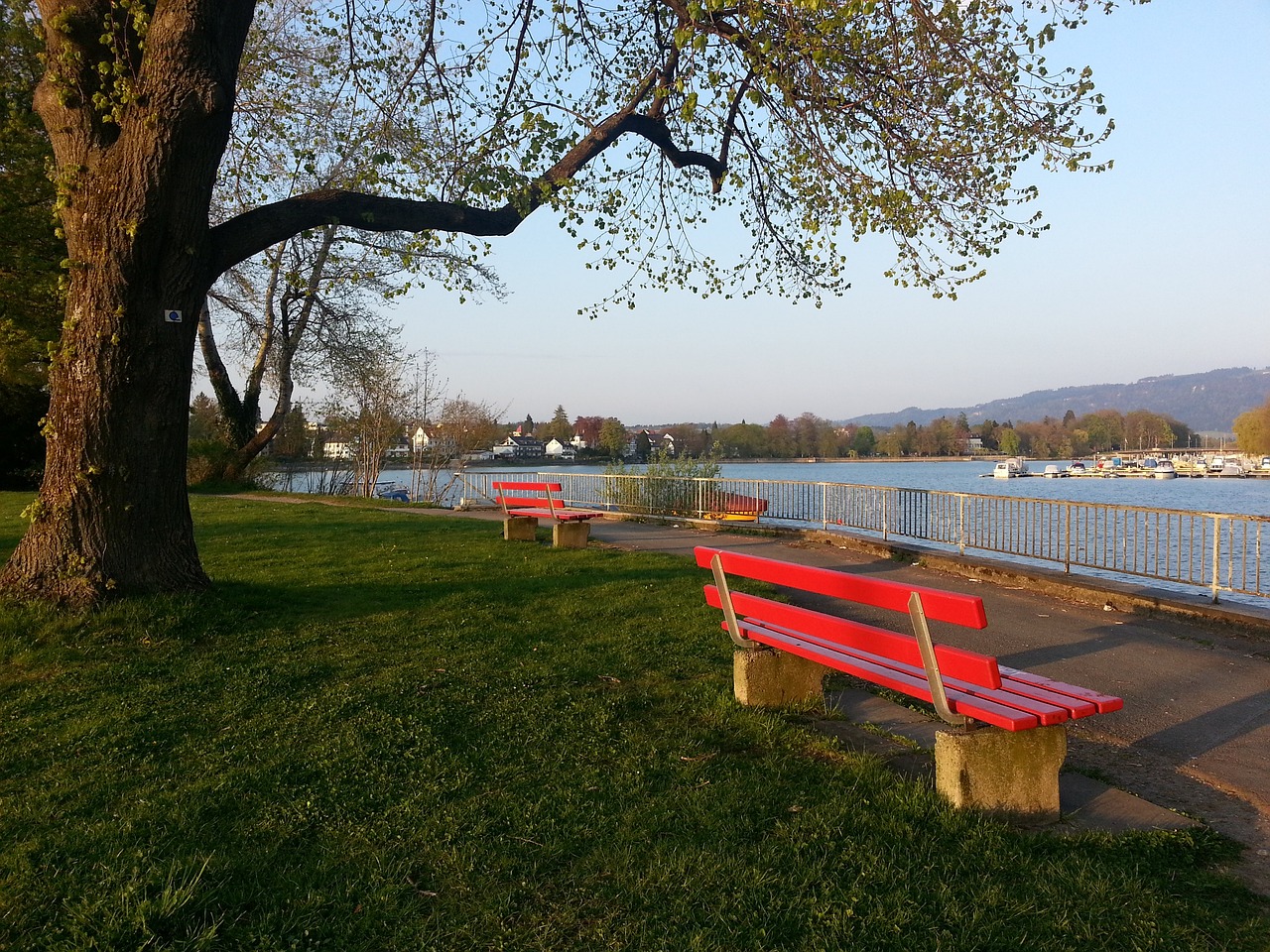 并与教练团 并与教练团