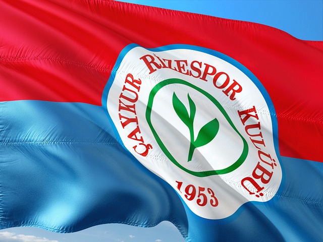 捉摸不透 捉摸不透